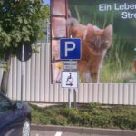 Mutter-Kind-Parkplatz