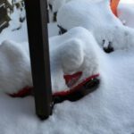 rp_bobbycarschnee-300×200.jpg