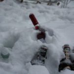 rp_prost-300×200.jpg