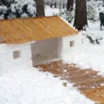 rp_schneehaus-300×168.jpg