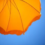 rp_photocase6646618851979531-300×199.jpg