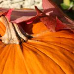 Herbst vor der Tür