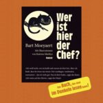 Wer ist hier der Chef?