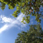 Blauer Himmel und Sonne – was will man mehr