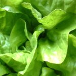 Frisch, grün und lecker, oder nicht??