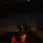 Heute früh gab es den ersten Schnee