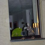 Frosch und Hase wünschen einen schönen 1. Advent