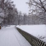 heute hat es dann endlich doch geschneit