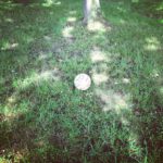 a335e374e15411e2bd6422000a9f12df_7