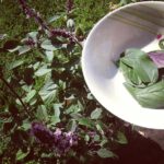 4163bdd0f15111e2b2a722000aaa0952_7