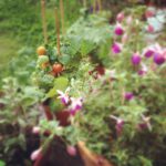 4de34e36e34111e292a722000a1f97f4_7