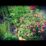 9991f9baf14f11e293e422000a1fbe78_7