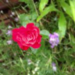 9c4b7c18e59b11e2ae1422000ae912a5_7