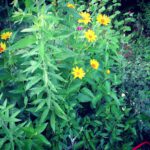 9d2fd9b6ee4811e2a0c022000a1f918d_7