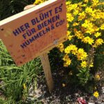 c68096aaed4111e280a722000aaa08b2_7