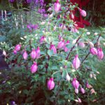 cb143282ee4811e2933022000aa8032d_7