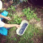 7c280c3e123d11e3bfa222000ae904e2_7