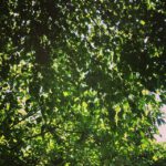 926505_346982832115640_860214005_n