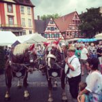 10576175_563535107086100_1324349390_n