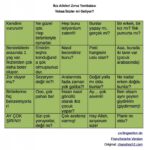rp_zwillingselternbingo_tr-996×1024.jpg