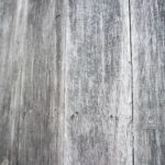 Ein Baumhaus aus Holz – Foto (c) moeller / pixabay.com