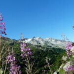 Die klare Luft der Schweizer Berge – Foto (c) xuuxuu / pixabay.com