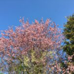 … schließlich ist sie da… die Sonne