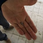 Nur eine kleine Schraube