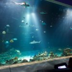 Das größte Becken im Tropenhaus