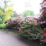 Farbenpracht in Hagenbecks Tierpark