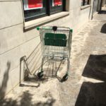 Einkaufswagen 1 in Inca