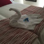 Der Schwan von Alcúdia