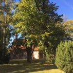 Goldener Oktober