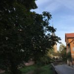wochenendeoktober1-8