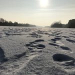 Schritt für Schritt voran