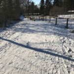 Auf dem Weg zur Rodelstrecke