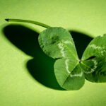 Auf der Suche nach dem Glück – Foto (c) meineresterampe / pixabay.com