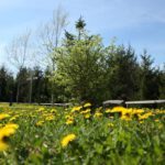 Centerpark Frankreich
