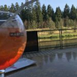 centerpark_frankreich_martini_am_abend