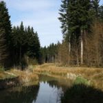 Ab in die Natur