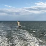 Da nutzt einer den Windschatten