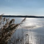 Idyllisch liegt er da – der Altmühlsee bei knackigen Temperaturen