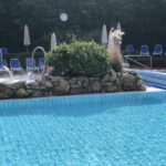 Bei schönem Wetter hinaus an den Pool