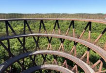 Camp Adventure Seeland: Dänemarks spektakulärer Naturpark mit Glamping und Baumwipfelpfad Der Waldturm Skovtårnet